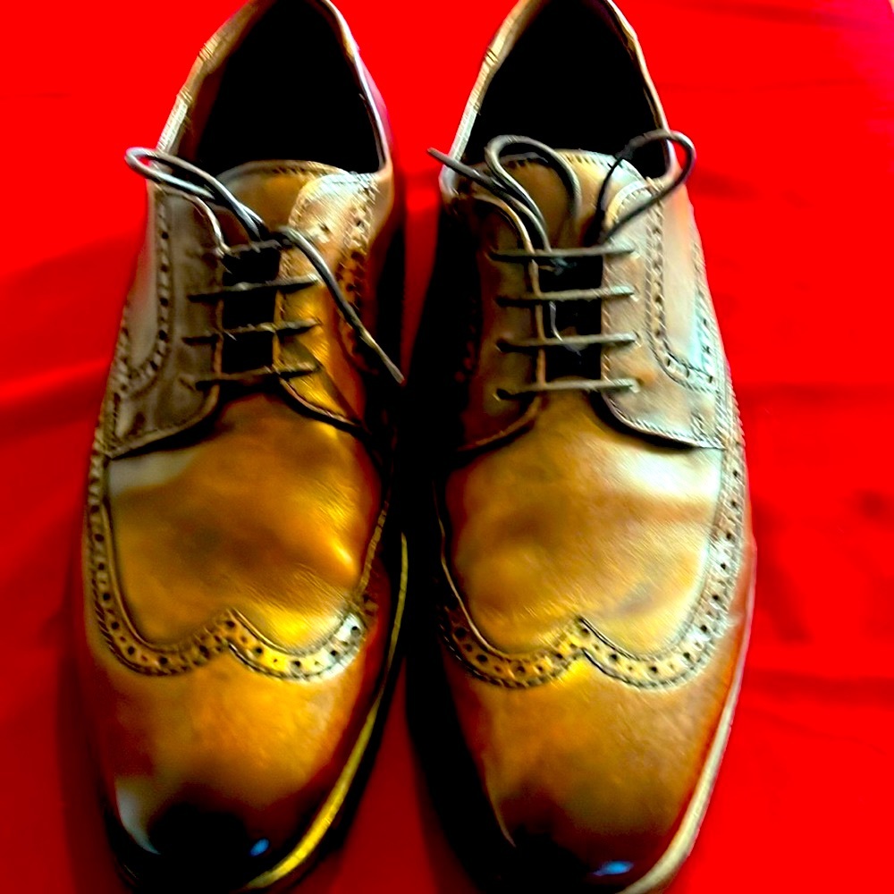 Ecco Men’s Wingtip Style Shoe